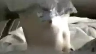 فتاة متهتكة تلمس نفسها بينما جارها يستمني وهو يتجسس