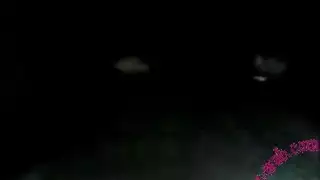 أقسام موقع السكس: اعثر على مشاهد الجنس المفضلة لديك