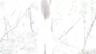 خضوع مقيد بحزام: بورن تقييد قاسي