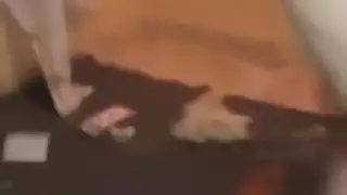 نيك مغربيه في أمريكا تتكلم عربي