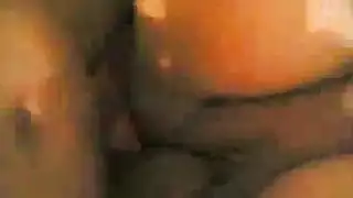 رائحة الطير