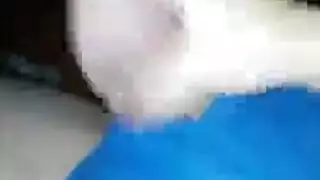 سكس القاعات الرياضية