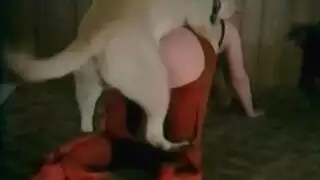 أفلام إباحية صريحة مع شاب مهيمن وامرأة مطلقة ناضجة