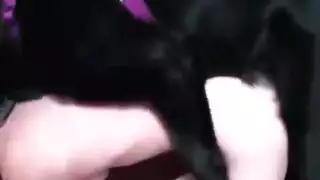 ٦ مراهقة جميلة في مشاهد إباحية صعبة ومرهقة