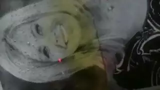 فرج كيت المُهترئ يطلب المزيد من القضيب