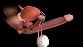 سكس بنات مصري لوحدهم