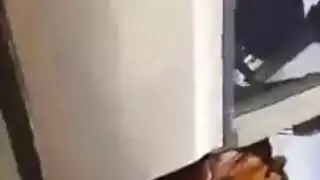 التحرش فى الجيم