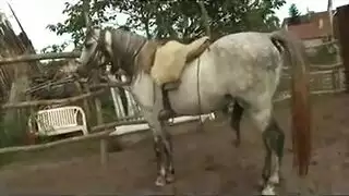 جلسة عاهرة في الإسطبل: نيك جماعي وإنهاء بالقذف الداخلي