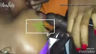 مهرجان جماعي في حظيرة الحيوانات